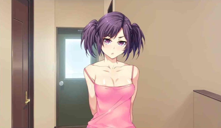 [拔作ADV/汉化]贞操观念ZERO：和枪间一家的奇妙暑假 步兵汉化版+全漫画[1.2G/百度]』